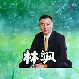 林飒